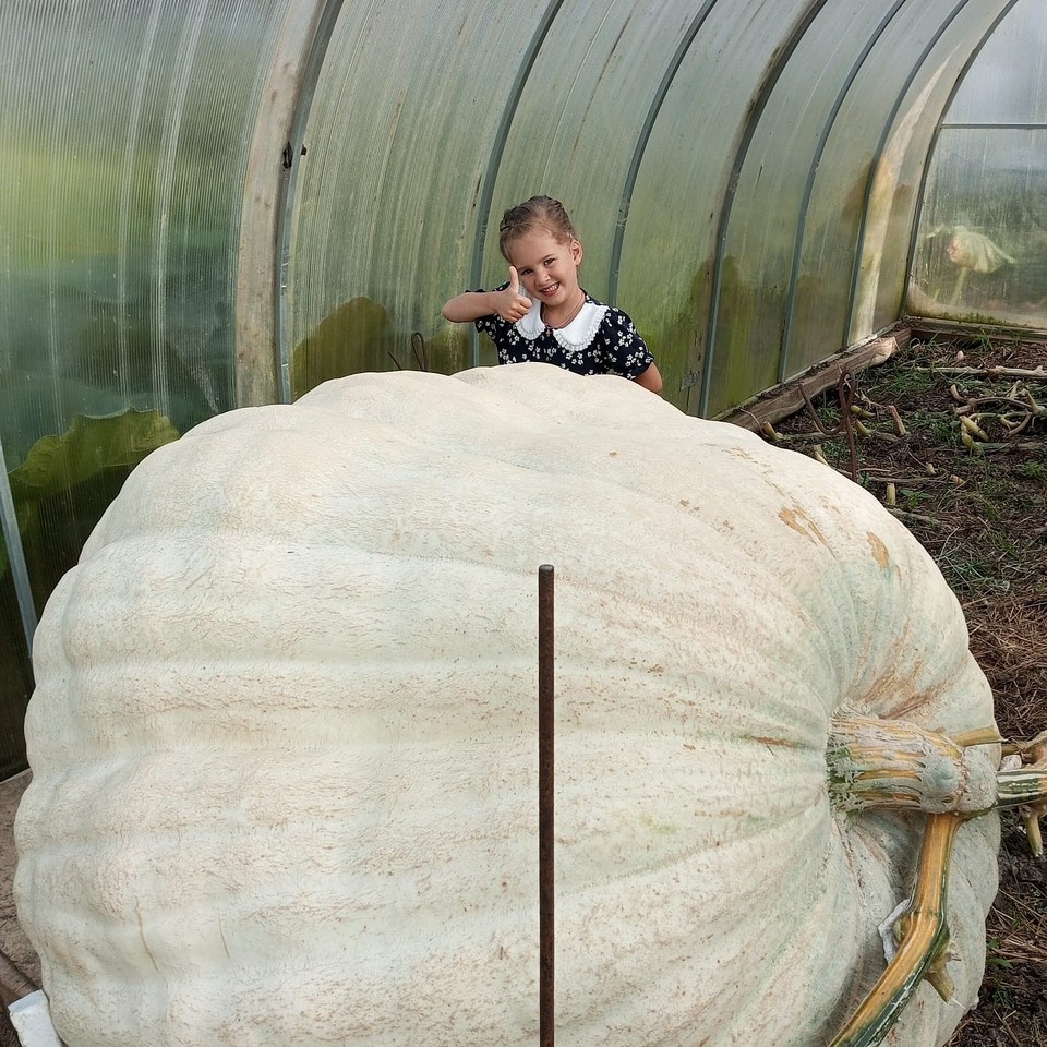    637-килограммовая Шляпа больше уже не вырастет, но все равно покатается по агрофестивалям Личный архив
