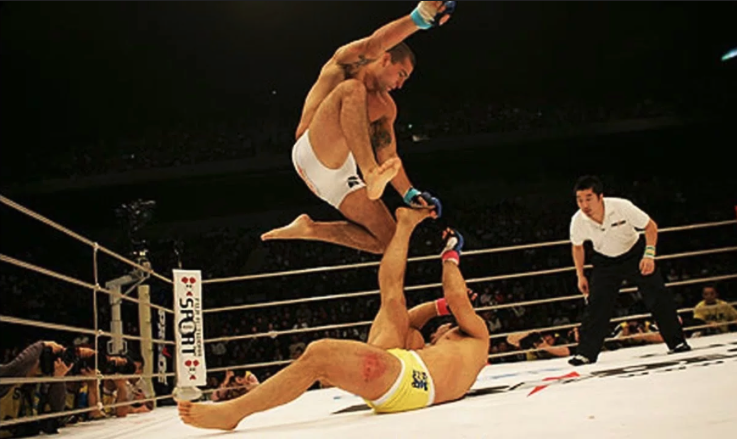 Маурисио Руа втаптывает соперника в ринг. 