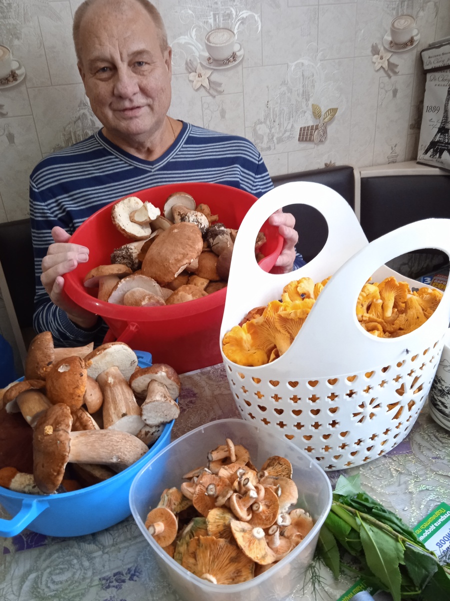 Итоги грибной охоты