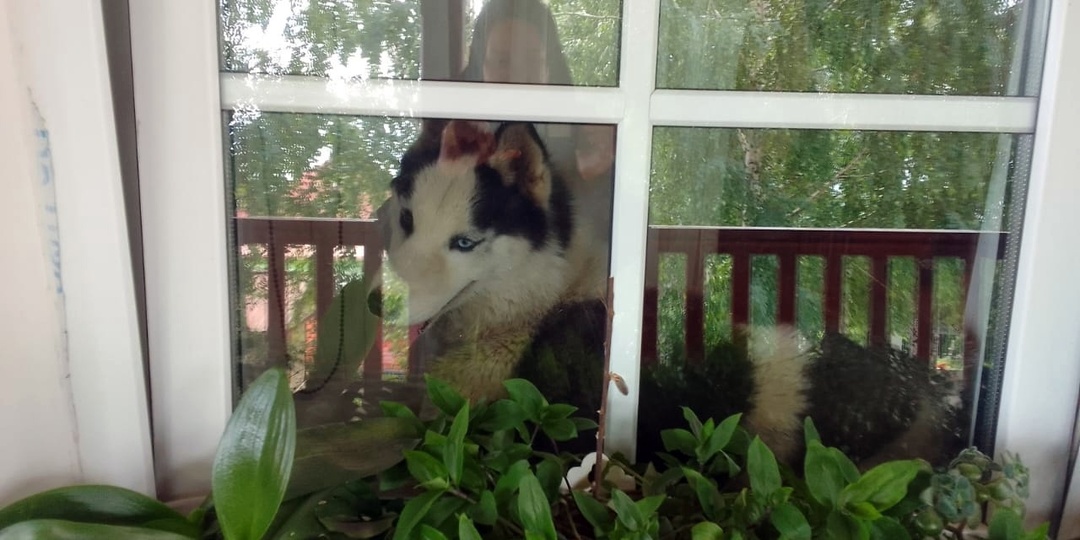 Монахиня Васса из женского монастыря просит нас о помощи