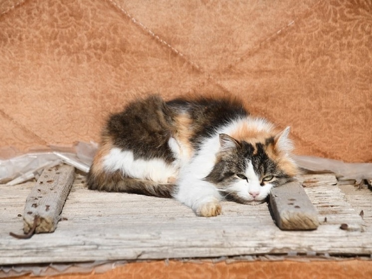     © Фото: ИД «Волгоградская правда» / архив.