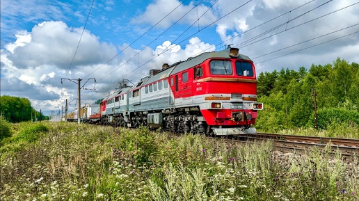 Тепловоз 2М62У-0365 с хозяйственным поездом