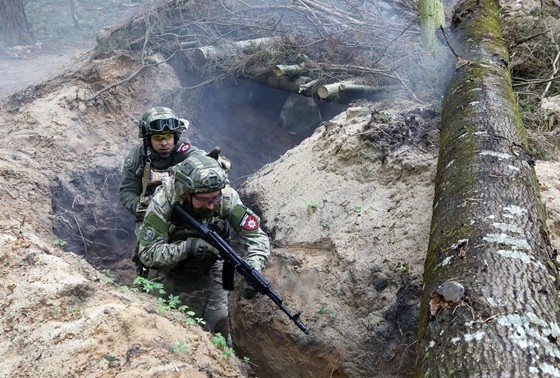    Вооруженные силы Украины