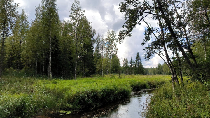 ФОТО: MAKSIM KONSTANTINOV/GLOBALLOOKPRESS