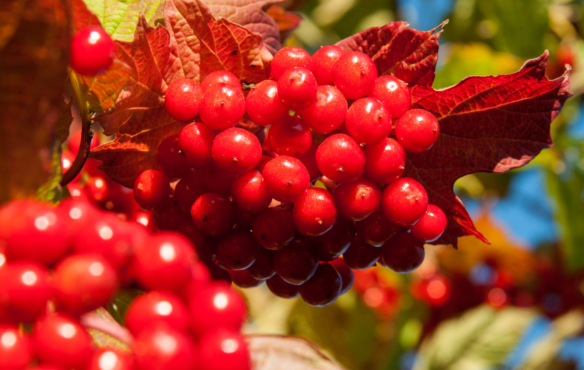 Aleksey Smyshlyaev/Global Look Press