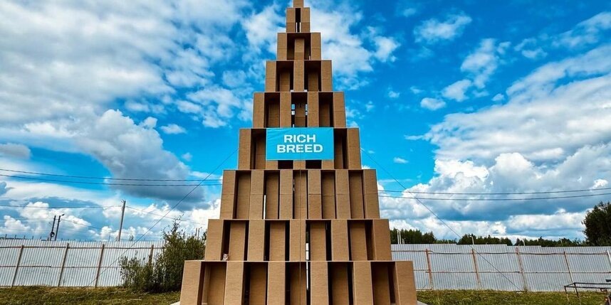    Найдите котика на этой фотографиипредоставлено компанией Rich Breed