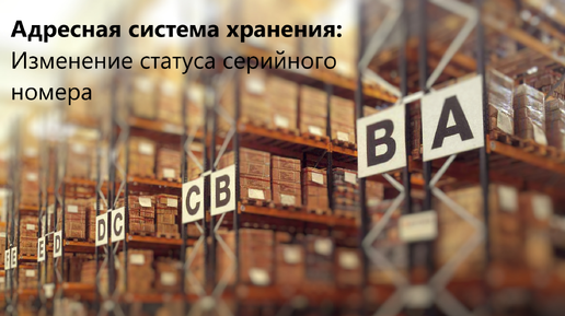 Видеоинструкция ОСО - Изменения статуса серийного номера на адресе (Адресная система хранения)