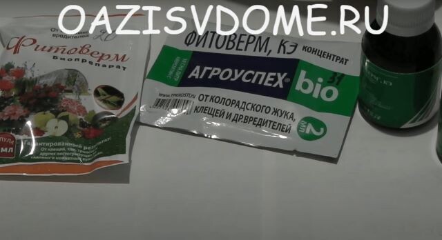 На фото биофунгифиды Фитоверм