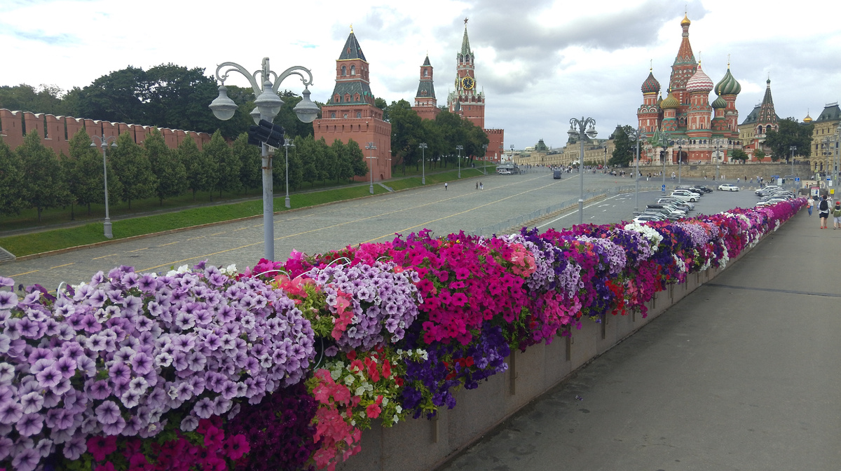 В этом году как никогда в Москве много цветов Цветы везде.Особенно впечатлили цветы на мостах придающие яркий сочный колорит окружающему вокруг спорящими по красоте  с бездонной голубизной неба и вековой сединой Кремля.