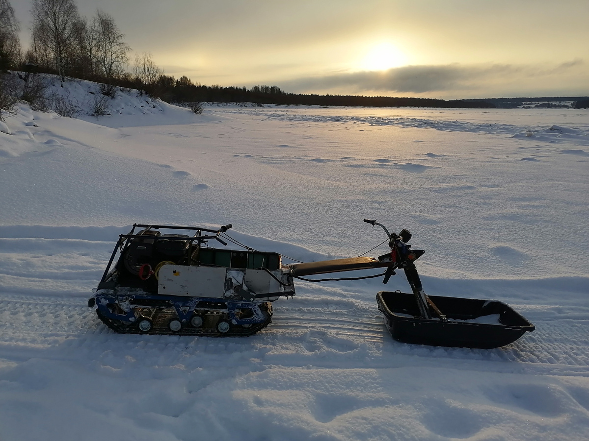 Мото собака с модулем