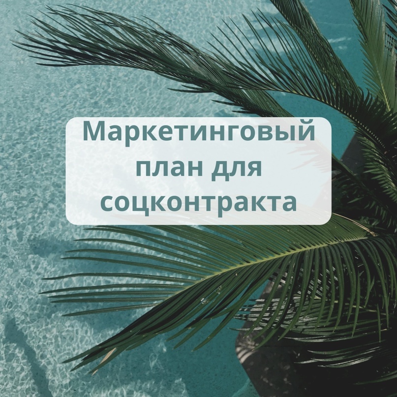 маркетинговый план для социального контракта