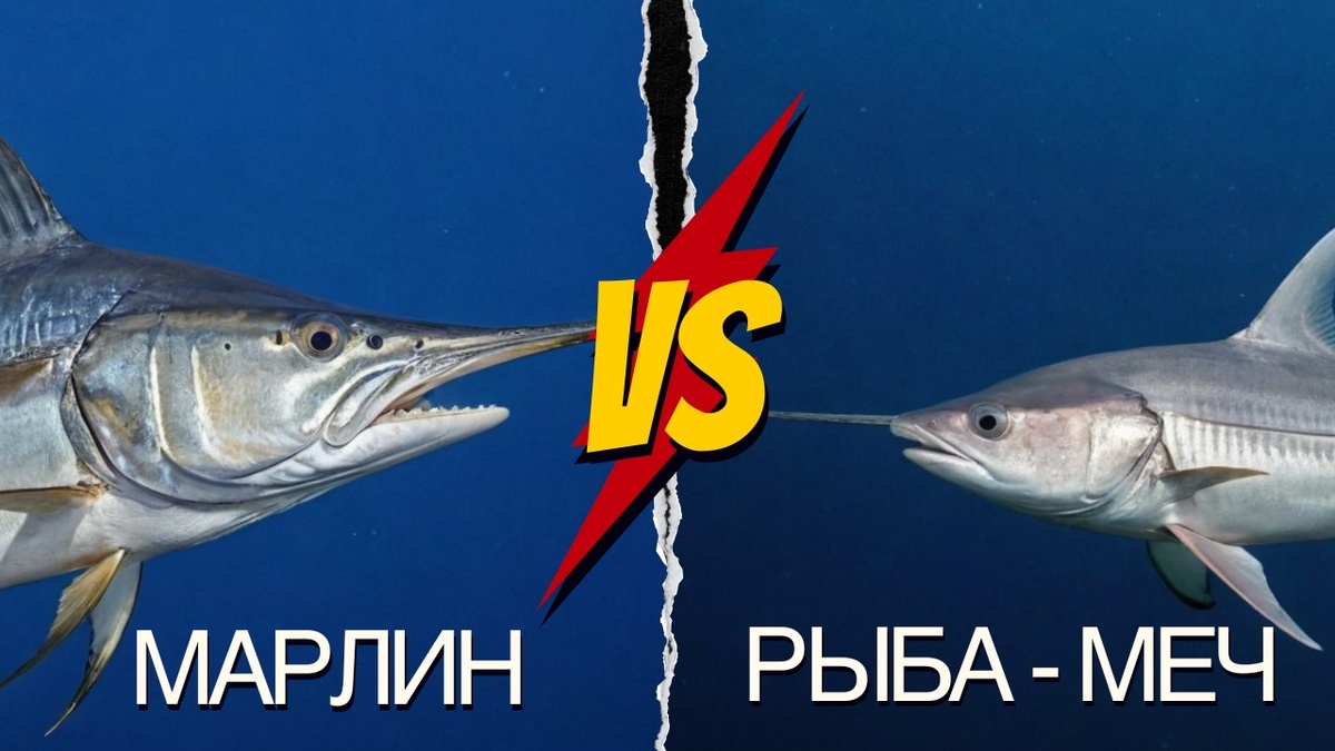 Изображение изготовлено автором