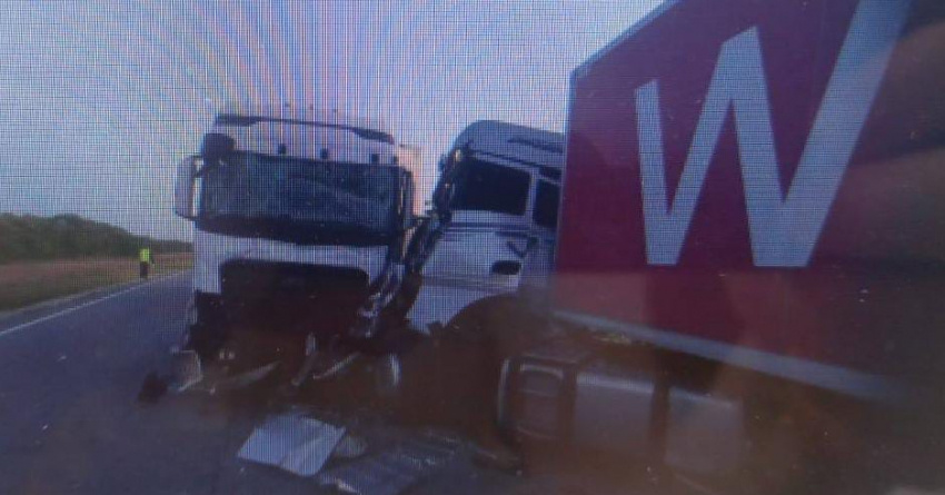 В компании Wildberries подтвердили, что одна из фурмы принадлежит им. Корреспонденту сообщили следующее:📷
