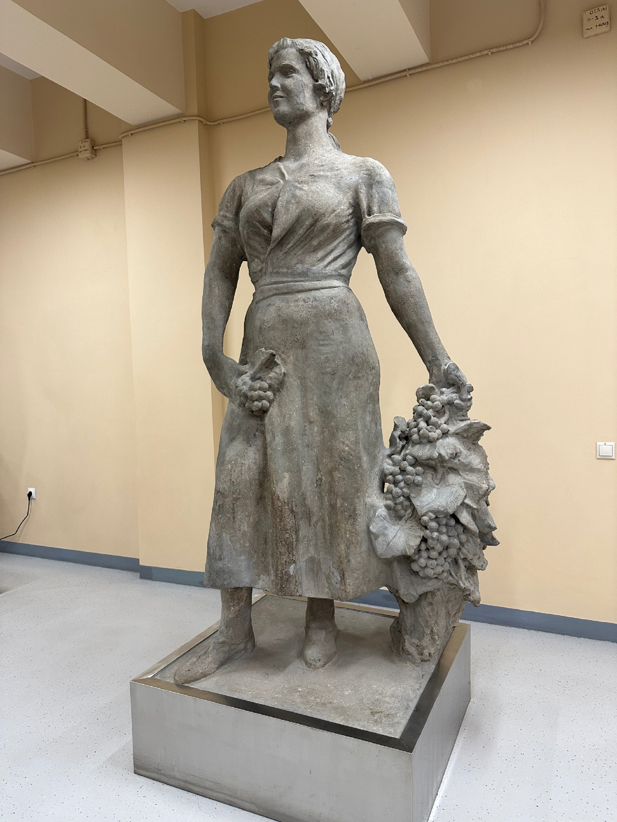 Счастливая южанка, работница виноградника