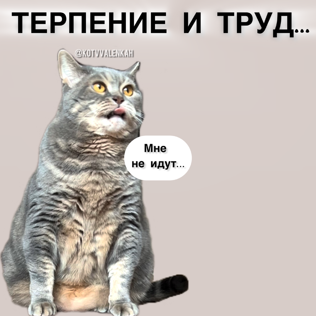 -6