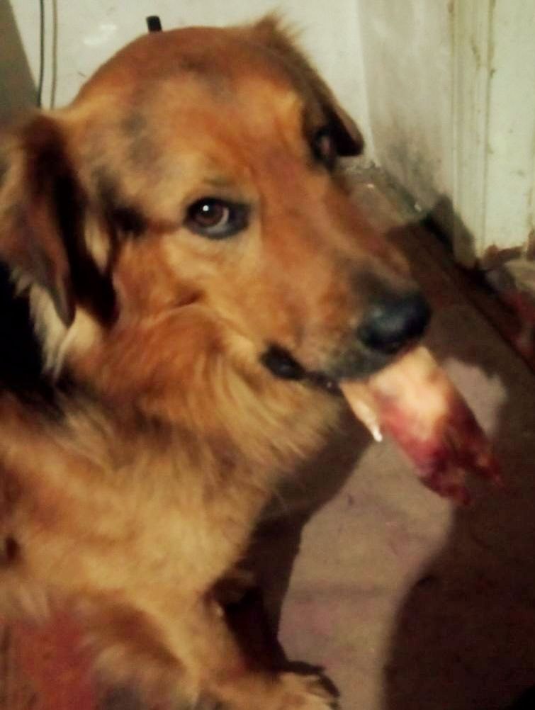 Наш любитель"тухлятины"