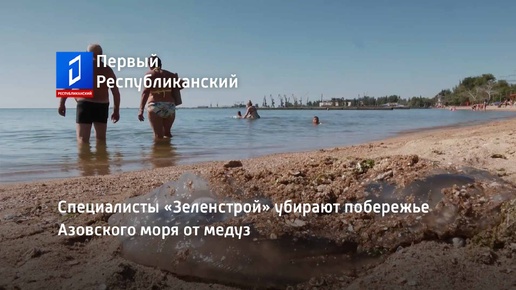 Специалисты «Зеленстрой» убирают побережье Азовского моря от медуз