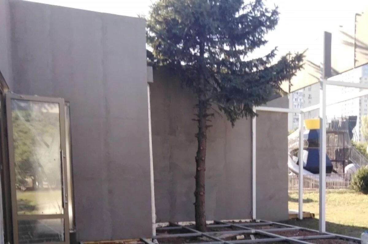    В Ростове-на-Дону частная компания изуродовала «ёлку Собчак»