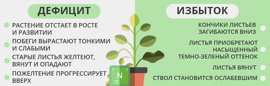 Источник фото: https://floragrow.ru/blog/недостаток-избыток-питательных-веще/