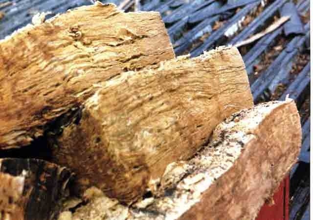 Фото с сервиса Яндекс-картинки.