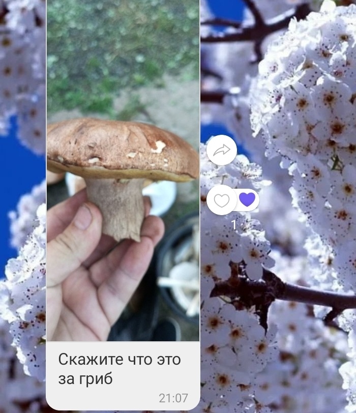Вот о чём речь