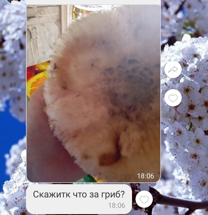 Вот ещё неизвестный объект