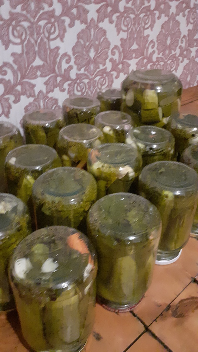 Огурчики на зиму,одна банка, меня смущает,вроде как мутноватый рассол становится 😒