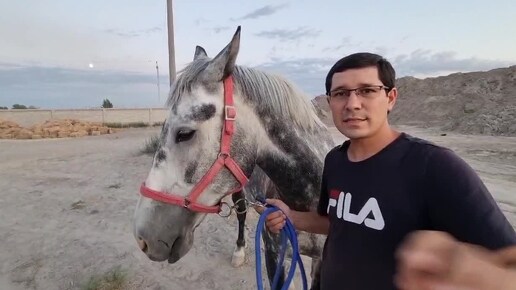 Обучение лошади.Ученик Horse Familу.Санджар.Узбекистан