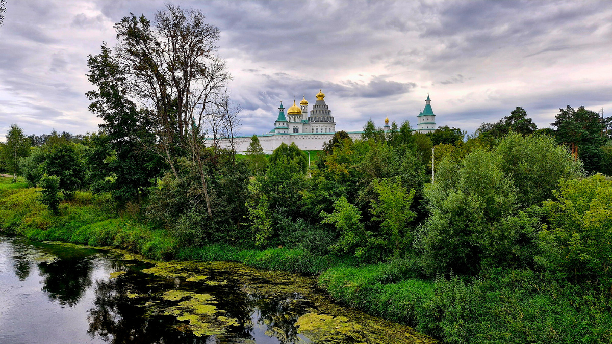Все фото в статье авторские