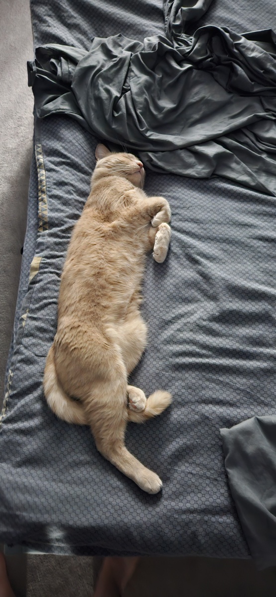 8 утра, а мы даже не вставали)