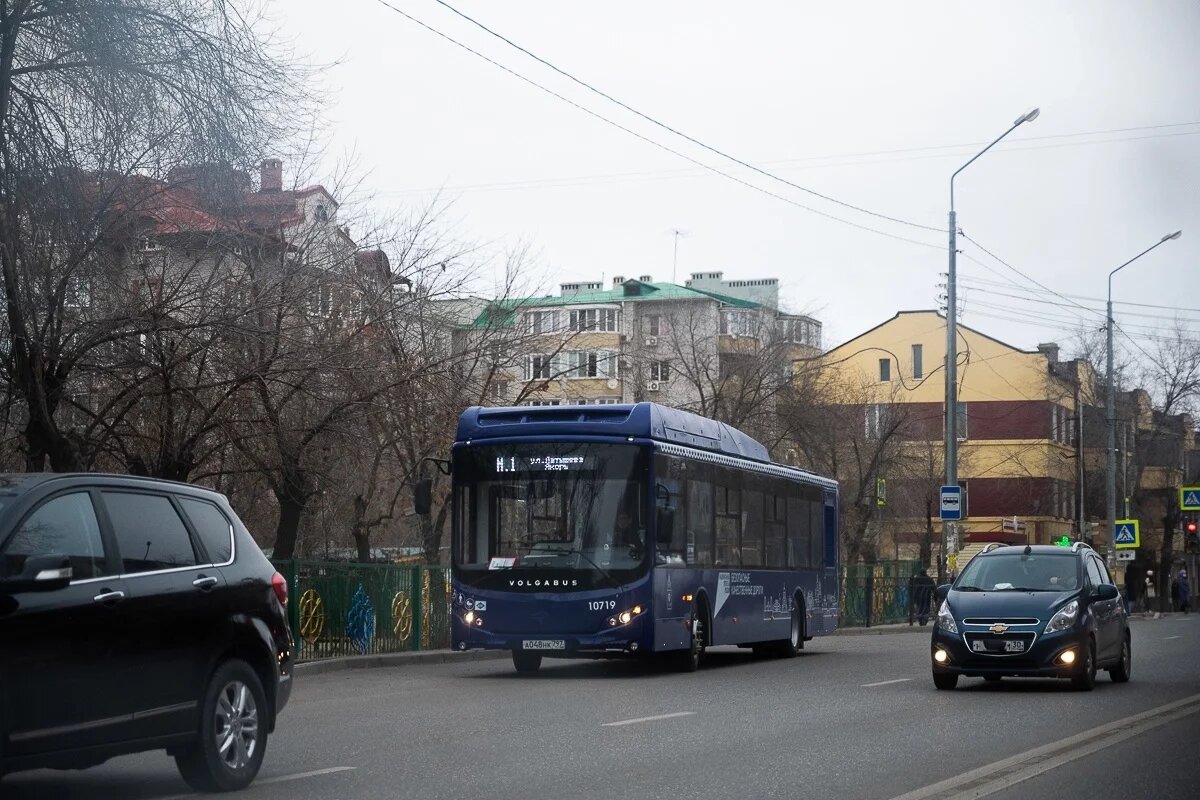    В Астрахани вновь появятся выделенные полосы для автобусов