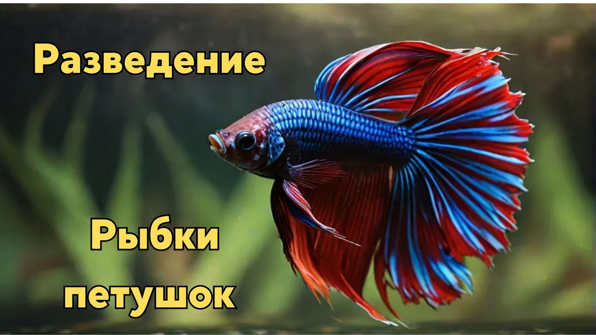 Изображение изготовлено автором