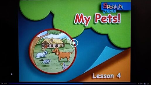 Запись № 19 Spotlight Starter 1 класс My Pets Lesson 4 Мои питомцы Урок 4 Английский в фокусе