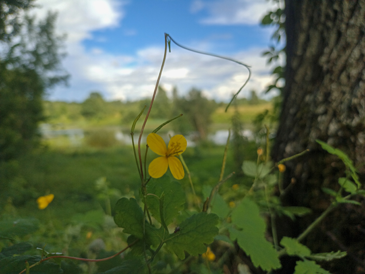 Недалекие, но прекрасные края. Листайте галерею