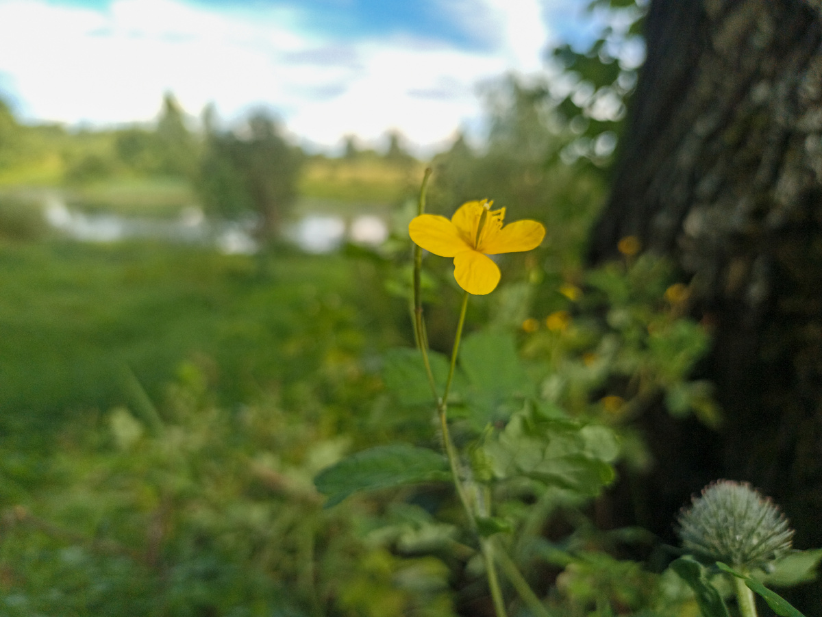 Недалекие, но прекрасные края