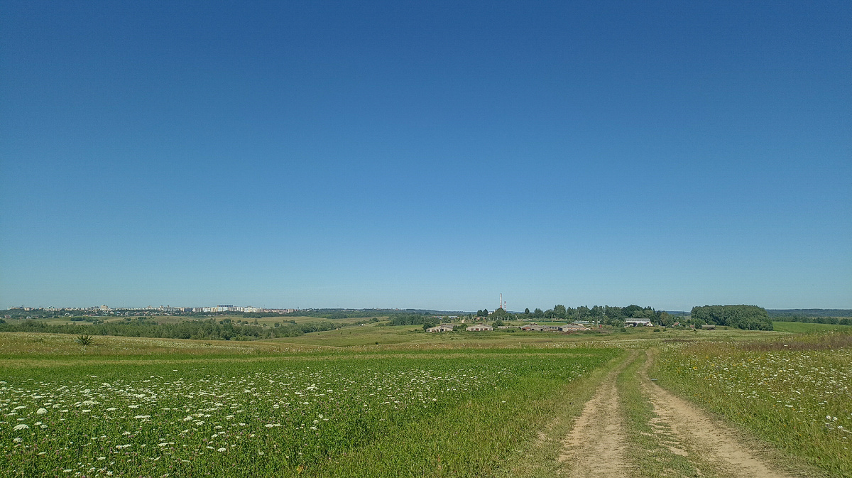 Панорама солнечного лета