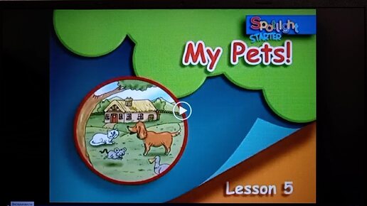 Запись №20 Spotlight 1класс My Pets Lesson 5 Мои домашние питомцы Урок 5 Английский в фокусе