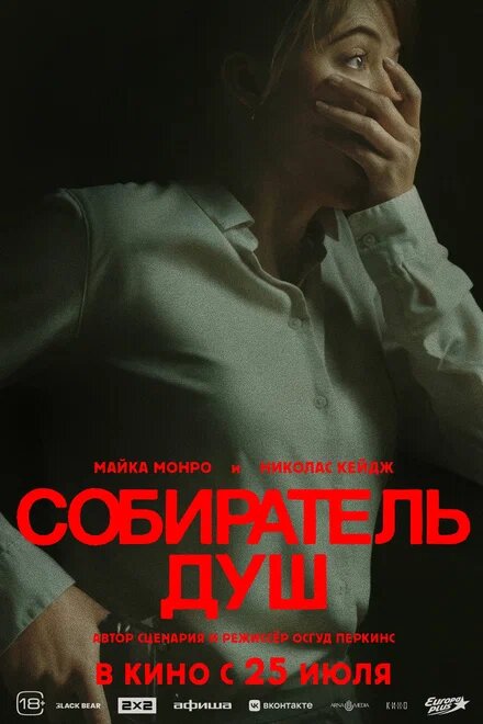 Постер к фильму "Собиратель душ".