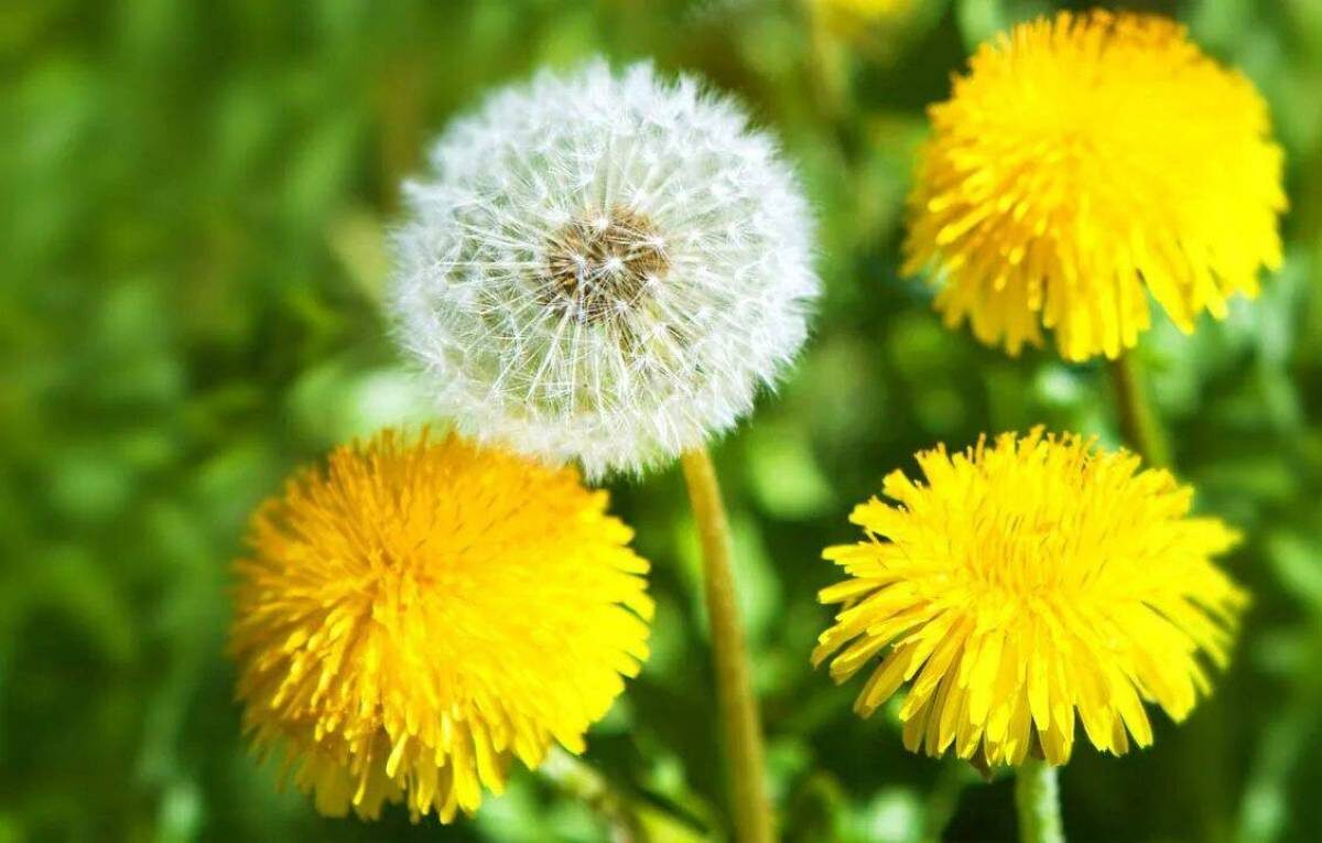 совсем забыл туда дорогу