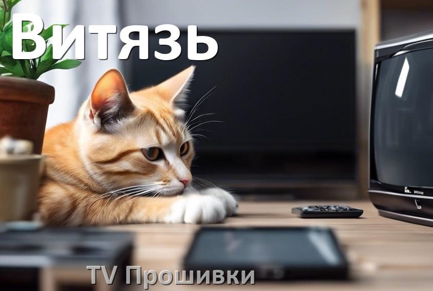 
Новые прошивки для телевизора Витязь Смарт ТВ и Android и дампы памяти для обычных