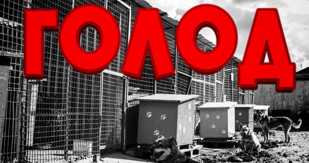 У 500 животных нет КОРМА! ПРОВАЛ!