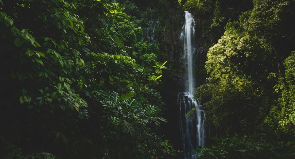    Unsplash