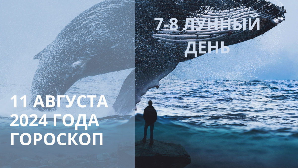 Кит и человек. Фото furman.top