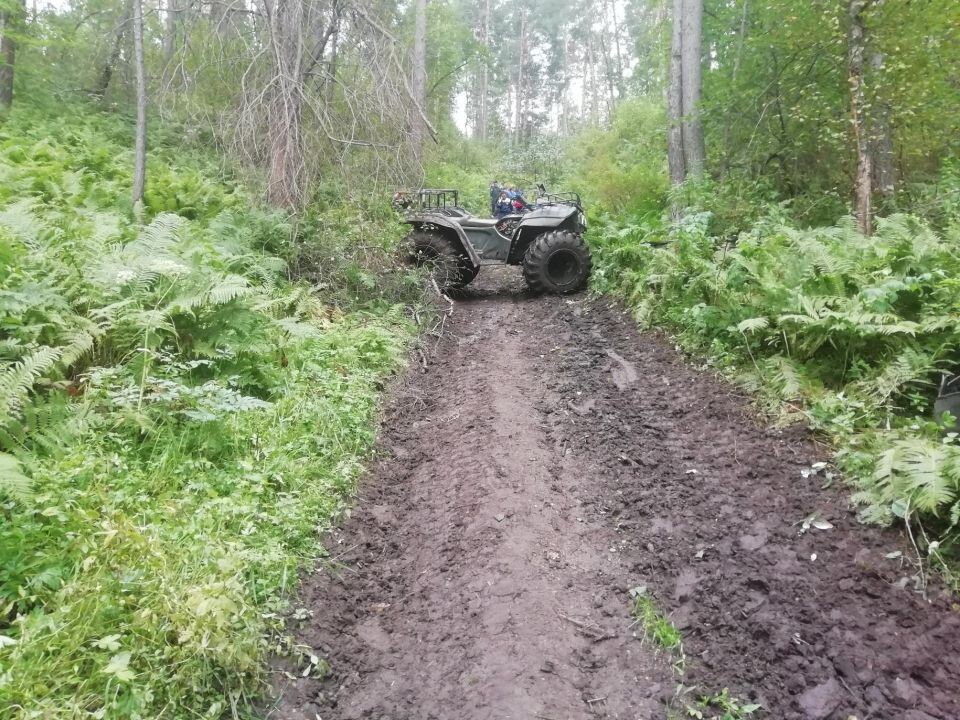    Место происшествия. Источник: пресс-служба Госавтоинспекции Республики Алтай