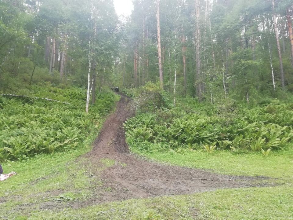    Место происшествия. Источник: пресс-служба Госавтоинспекции Республики Алтай