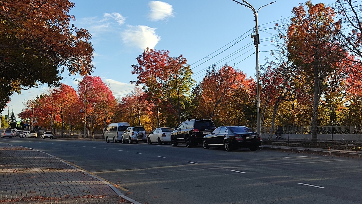 Разноцветная камчатская осень. Фото автора