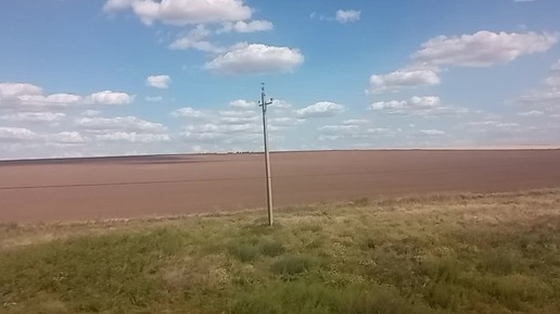 Виды на саратовские степи из окна поезда.