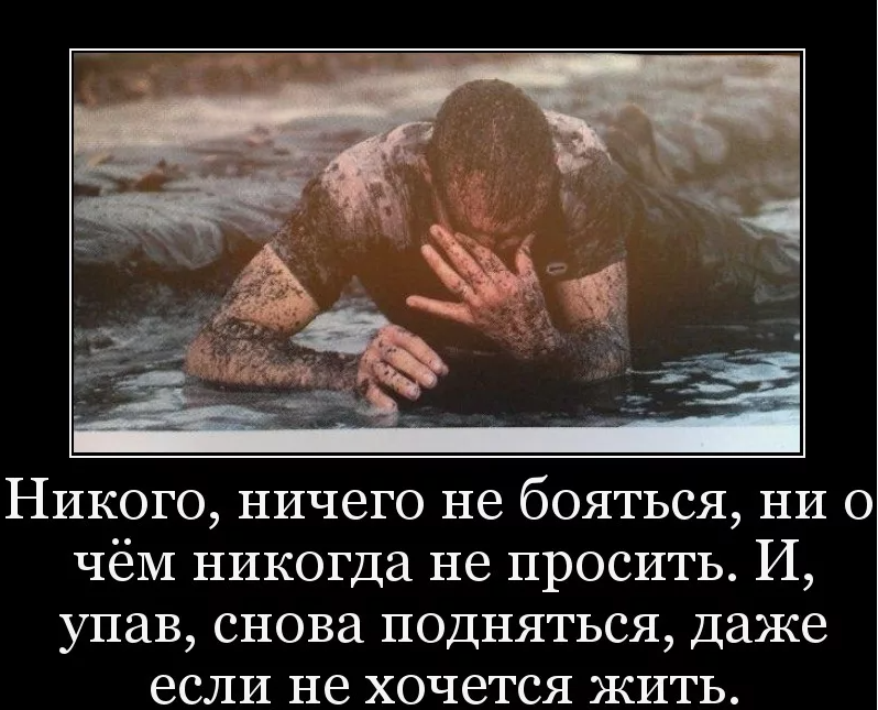 Так и живём... Выживаем, вернее сказать.