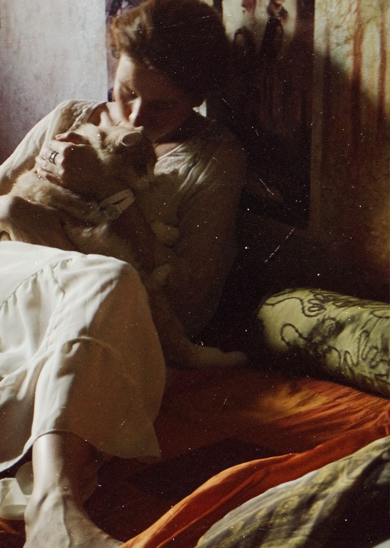 автор канала записал кота на стрижку - себя-то жалко...