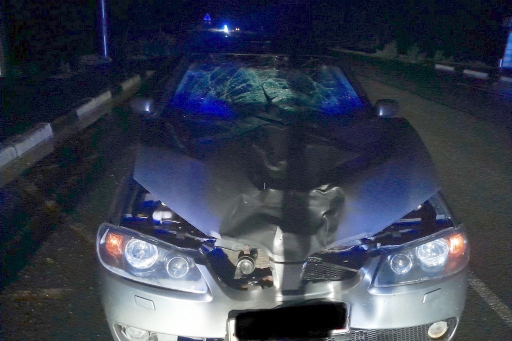    ДТП произошло 10 августа примерно в 22:22 на 391-м километре дороги Сергиев Посад - Череповец, у поворота к деревне Михалёво.